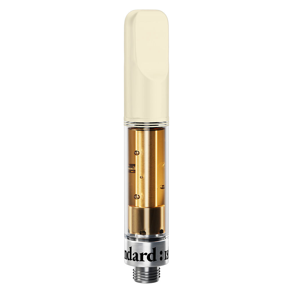 STANDARD ISSUE WILD BERRY (IND) 510 - 1G