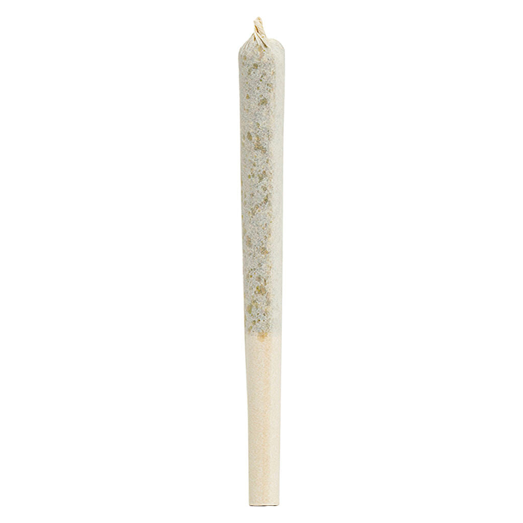 1964 RESIN ROLL COMATOSE (IND) INF PRE-ROLL 0.5G X 1